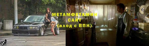 прущие грибы Михайловка