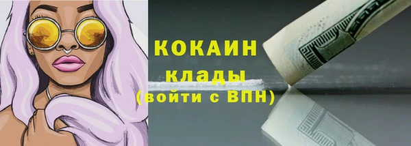 прущие грибы Михайловка