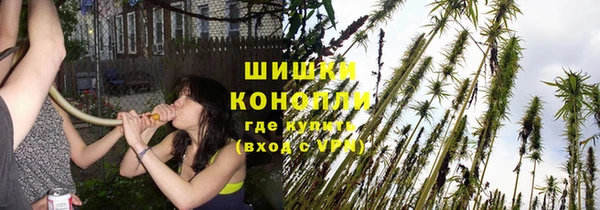 сатива Михайловск