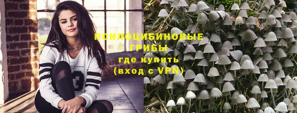 амф Шадринск