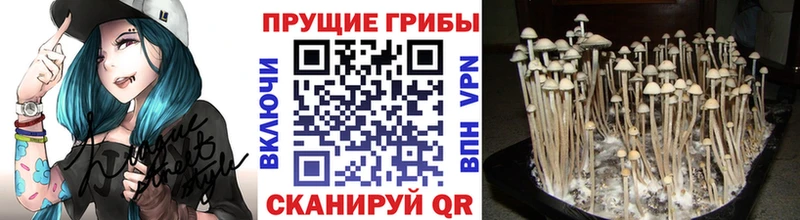 Галлюциногенные грибы Magic Shrooms  Пермь 