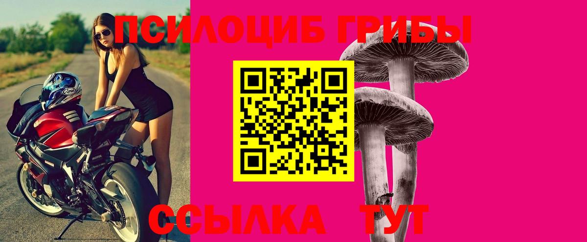 Псилоцибиновые грибы MAGIC MUSHROOMS Пермь