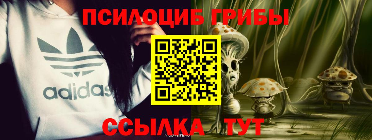 Псилоцибиновые грибы Psilocybine cubensis  Вход с VPN  Пермь 